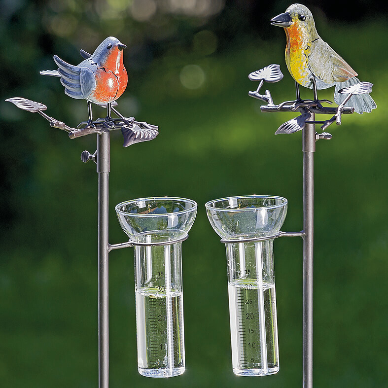 Regenmeter vogel Ruby Regenmeter vogel Ruby