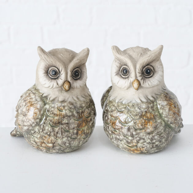 Decoratieve uiltjes Kuga Decoratieve uiltjes Kuga
