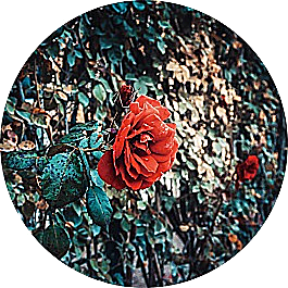 Past een glasschilderij in elk interieur?