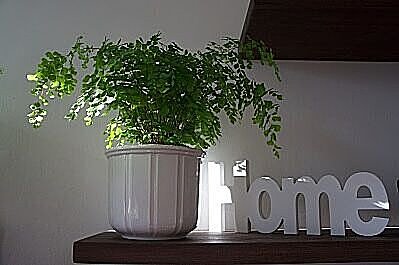 Huisdecoratie van DecoAction. Voor iedereen is er wel wat 