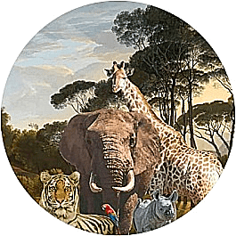 Waar hang jij jouw muurcirkel?