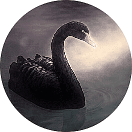 Gave muurcirkels, allemaal mooi rondjes aan jouw muur 