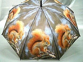 Hoe droog je een paraplu?