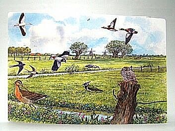 Placemats, wat doe je er mee en waar let je op! 