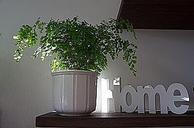 Huisdecoratie van DecoAction. Voor iedereen is er wel wat 