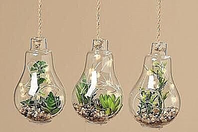 Wat is ledverlichting