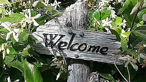 Huisdecoratie, hoe maak je het gezelliger in jouw huis?