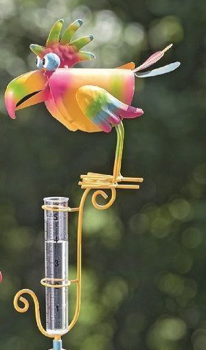 Tuinsteker regenmeter papegaai